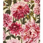 Harlequin Dahlia Fuchsia Palm 142402 1