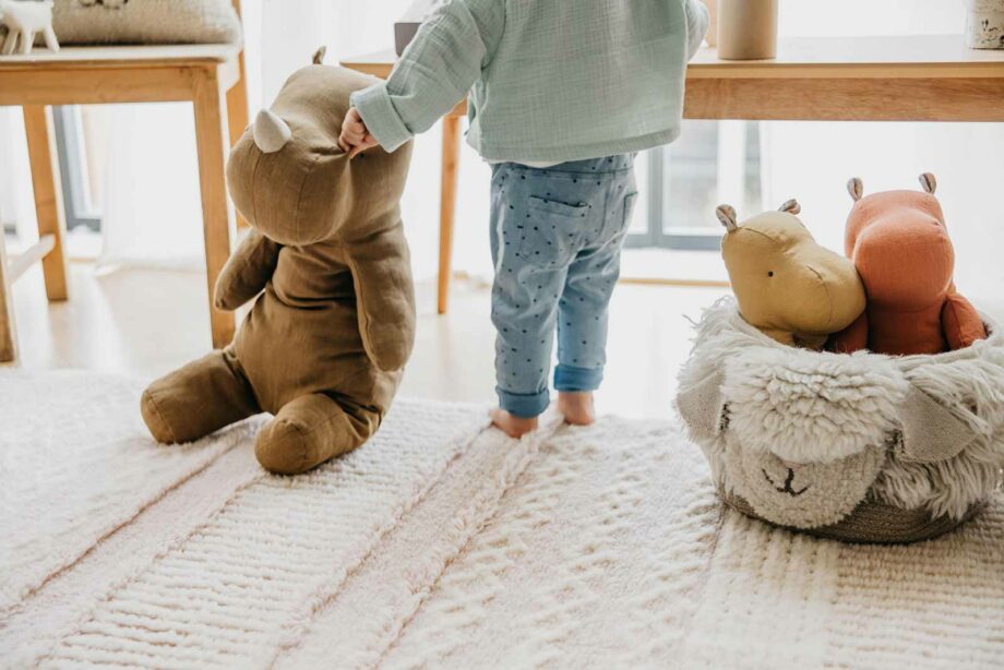 Lorena Canals Woolable carpet Ari Rose WO ARI RO K 19