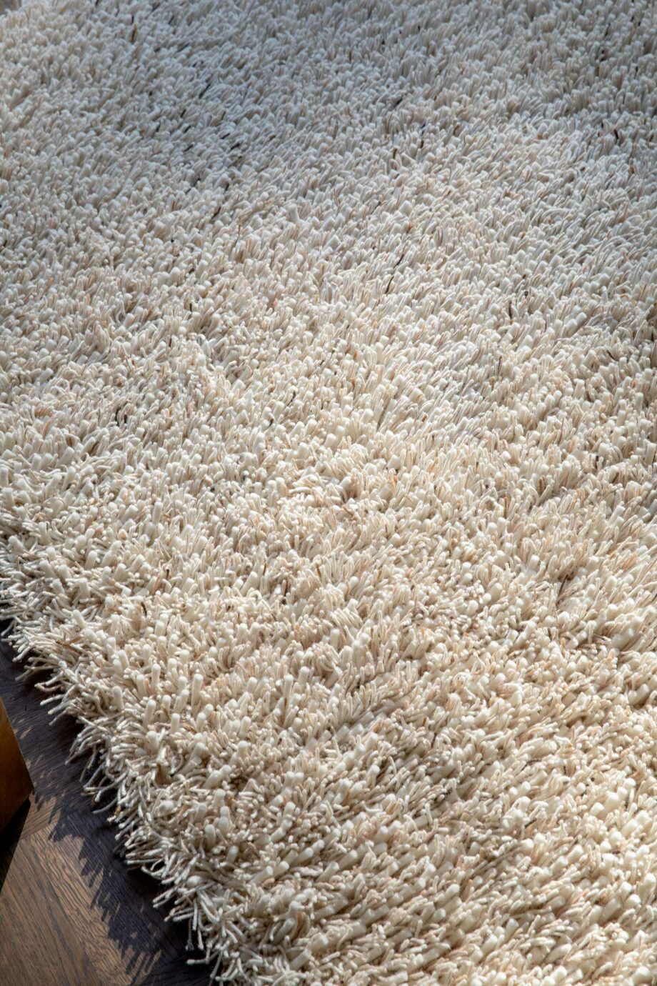 Brink & Campman Rug, Ray Cocoon 158601