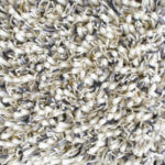 Brink & Campman Rug, Ray Iron 158604