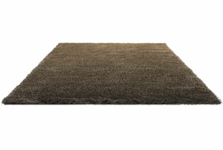 Brink & Campman Rug, Shade High Beige Dark Chocolate 11901