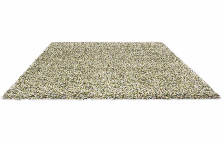 Brink & Campman Rug, Spring Evergreen 59107