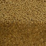Brink & Campman Teppich, Twinset Urban Golden 022116
