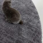 Brink & Campman Teppich, Twinset Urban Graphite 022135