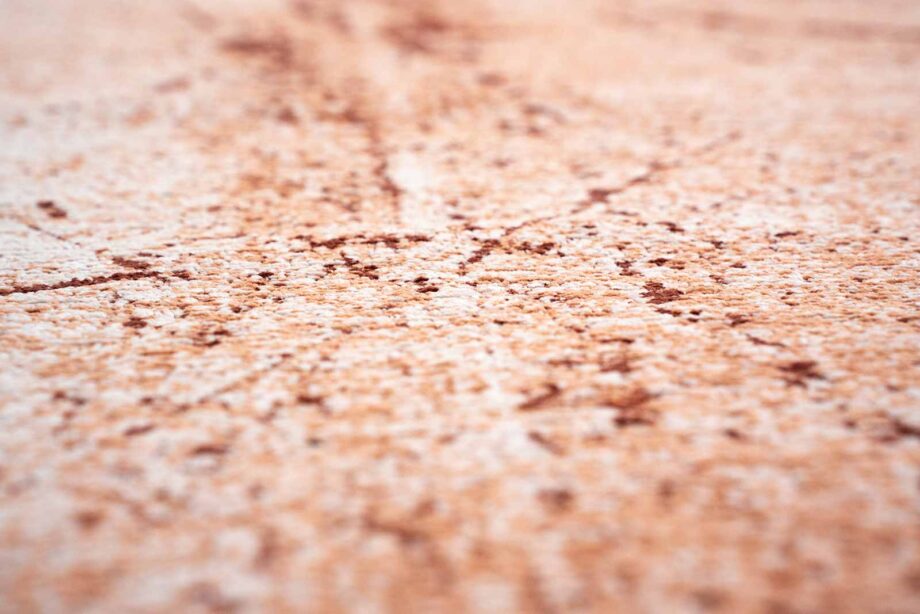 Louis De Poortere rug Mad Men Sol 9774 Tandoori zoom 3